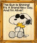 Snoopy and sun.jpg