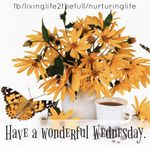 FB_IMG_1652884846982.jpg