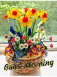 FB_IMG_1653054596275.jpg