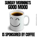 FB_IMG_1653224358394.jpg