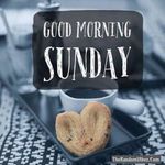 FB_IMG_1653830022631.jpg