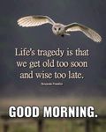 FB_IMG_1654435313631.jpg