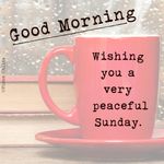 FB_IMG_1654435054746.jpg