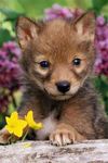 FB_IMG_1654981533367.jpg