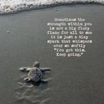 FB_IMG_1655411810397.jpg
