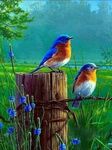 FB_IMG_1656358477156.jpg