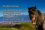 Senility-Prayer-Horse_mini-tiny.jpg