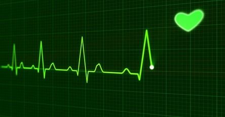 vital-signs-rush.jpg