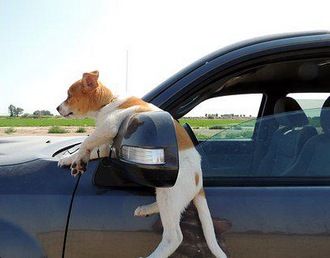 objects-in-the-rear-view-mirror-meatloaf.jpg