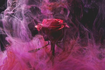 4E65D11C-2811-4EA0-91BE-A9721906FC5A.jpeg