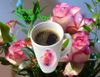 FB_IMG_1659619517684.jpg