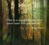 FB_IMG_1658365117490.jpg