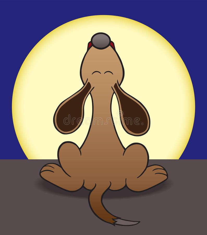 howling-dog-moon-late-night-39226442.jpg