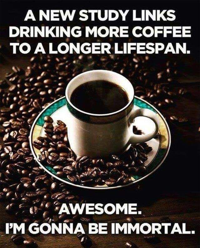 FB_IMG_1659553644602.jpg