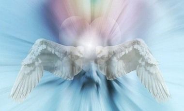 if-my-heart-had-wings.jpg