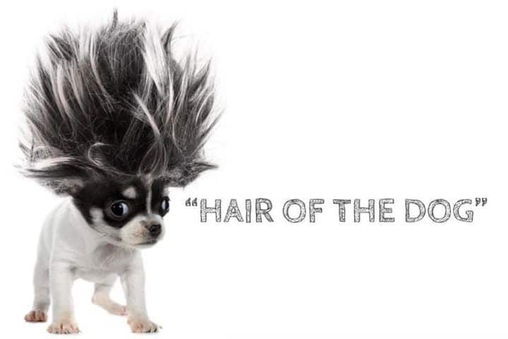 hair-of-the-dog.jpg