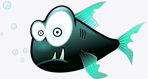 big-eyed-fish-dmb.jpg
