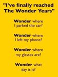 FB_IMG_1658368338504.jpg