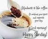 FB_IMG_1662299000048.jpg