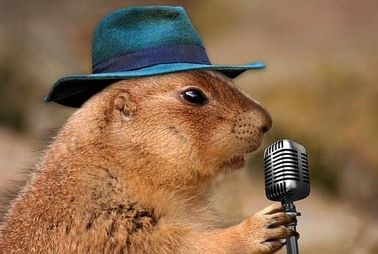 anybody-listening.jpg