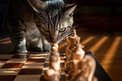 1ACFCF89-AB52-401C-9844-772A0E2E1E6C.jpeg