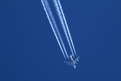 744A3CF7-9080-4185-8FF3-6F00038BD23E.jpeg