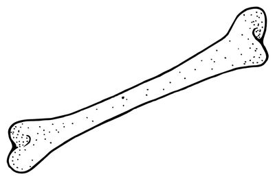 95EDD037-ACFB-4A18-B332-0E0E670713A3.jpeg