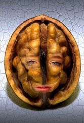 face-in.jpg