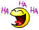 smiley-laughing024.gif