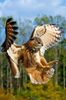FB_IMG_1664734058769.jpg