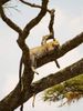 FB_IMG_1664733809665.jpg