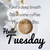 FB_IMG_1664891622792.jpg