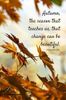 FB_IMG_1665578083723.jpg