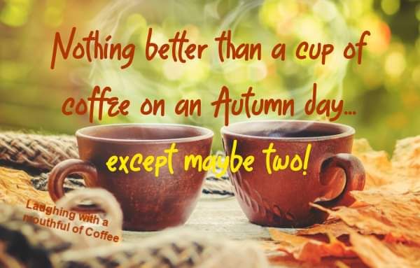 FB_IMG_1665331161103.jpg