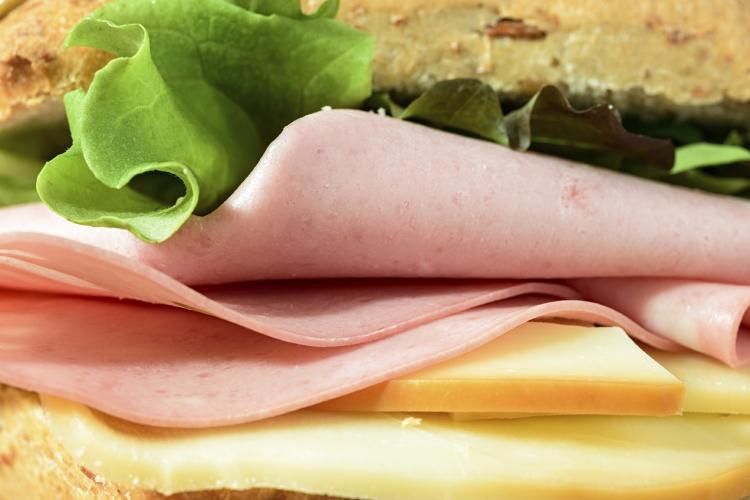 bologna-day-fun.jpg