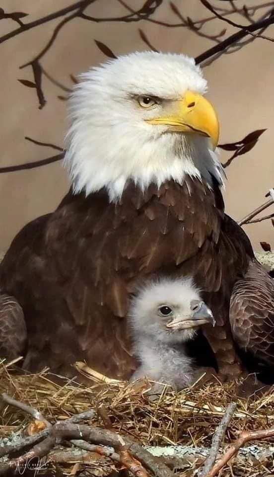 FB_IMG_1665084682920.jpg