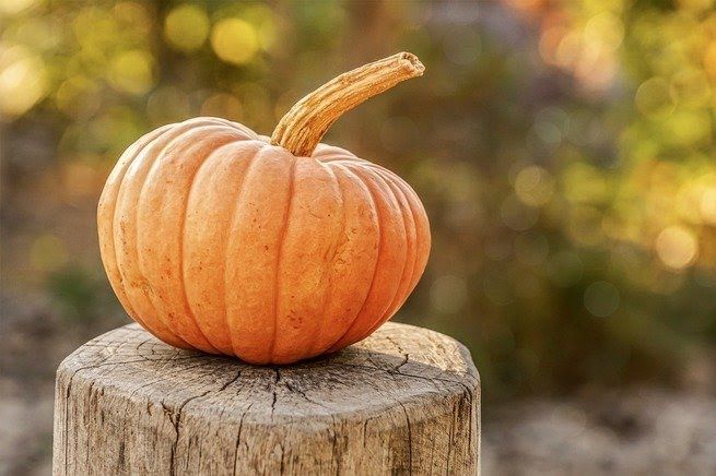 harvest-4454745-1920_c (1).jpg