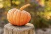 harvest-4454745-1920_c (1).jpg
