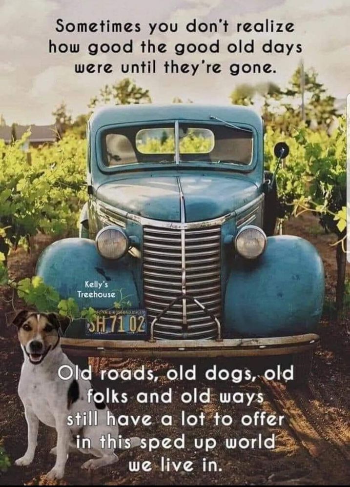 FB_IMG_1666813093411.jpg