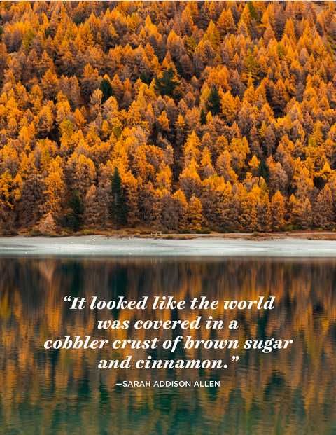 novemberquotesnew3-1595956307.jpg