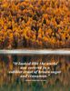 novemberquotesnew3-1595956307.jpg
