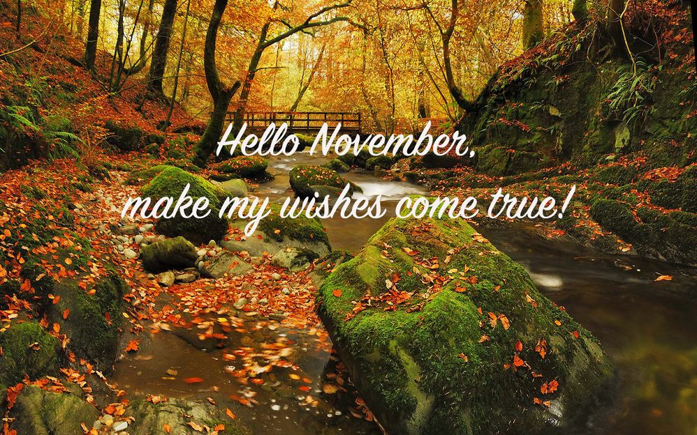 November-Image.jpg