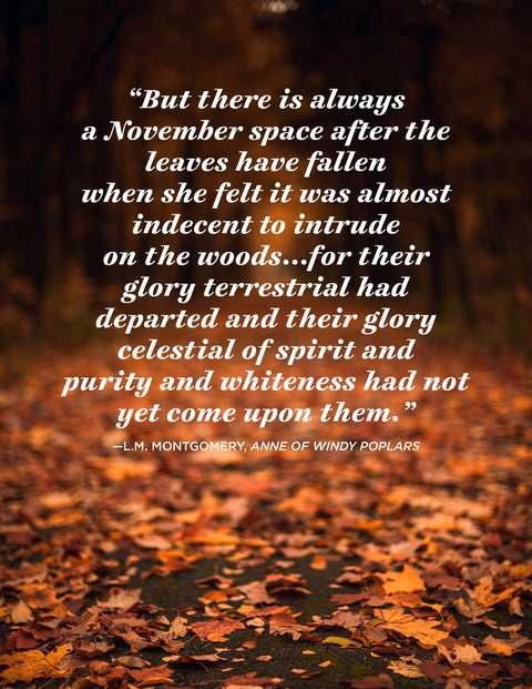 novemberquotes17-1570639912.jpg