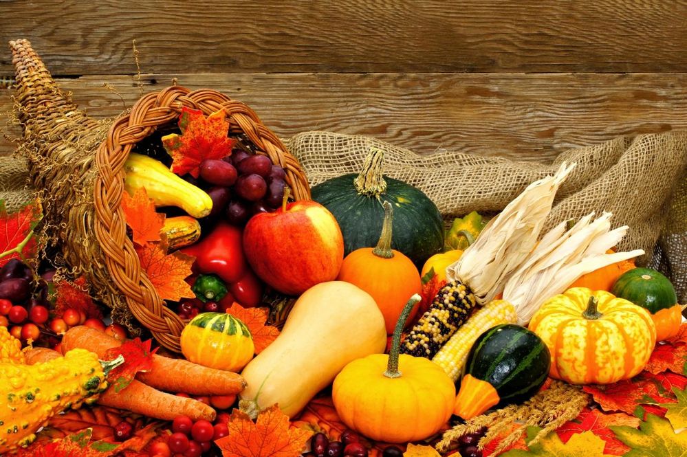 cornucopia-jenifoto-shutterstock_157882724.jpg
