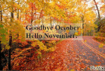 379276-Goodbye-October-Hello-November-Gif.gif