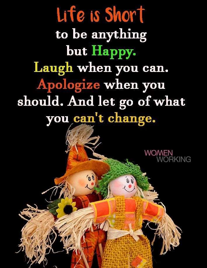 FB_IMG_1667585861299.jpg