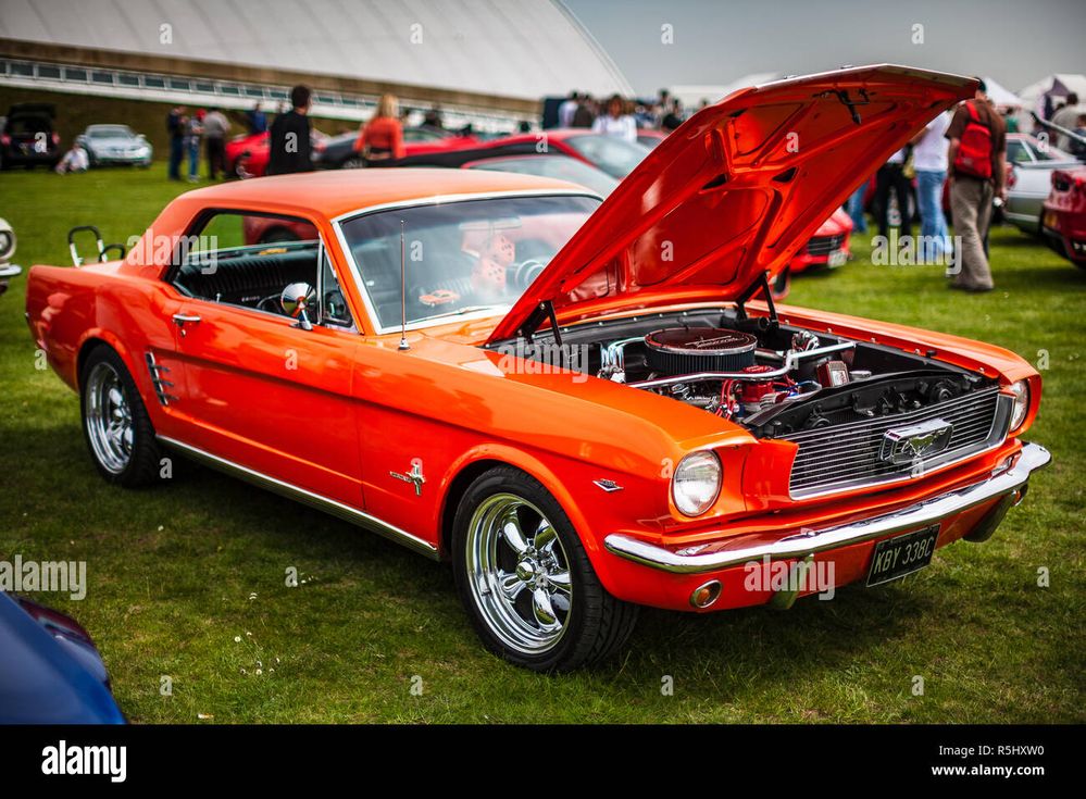 1965-ford-mustang-283-uk-vintage-1965-ford-mustang-283-R5HXW0.jpg