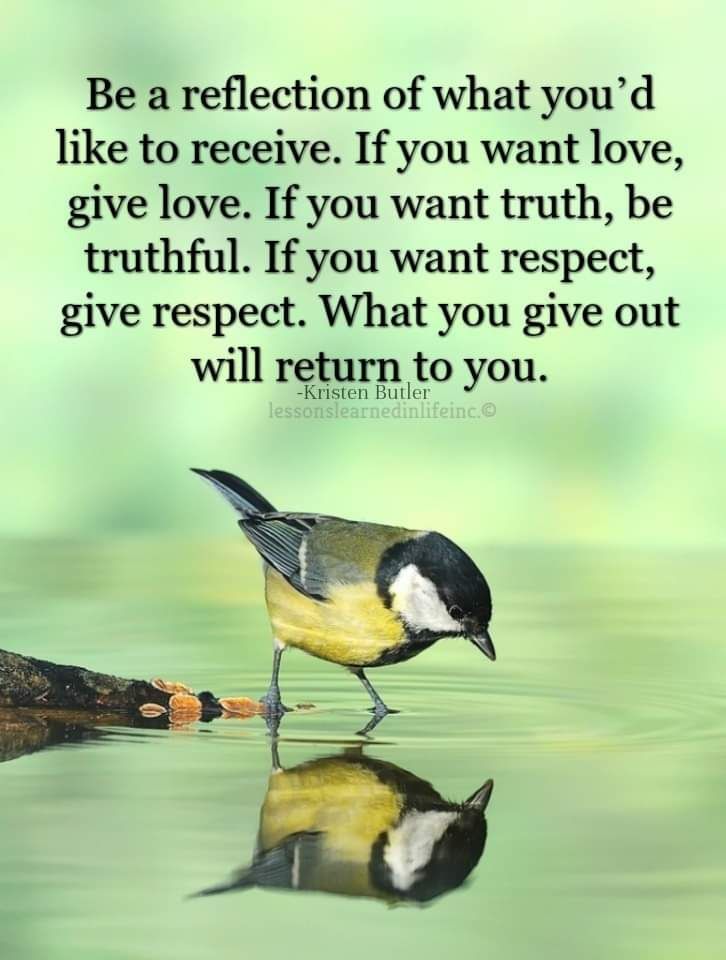 FB_IMG_1668097991185.jpg