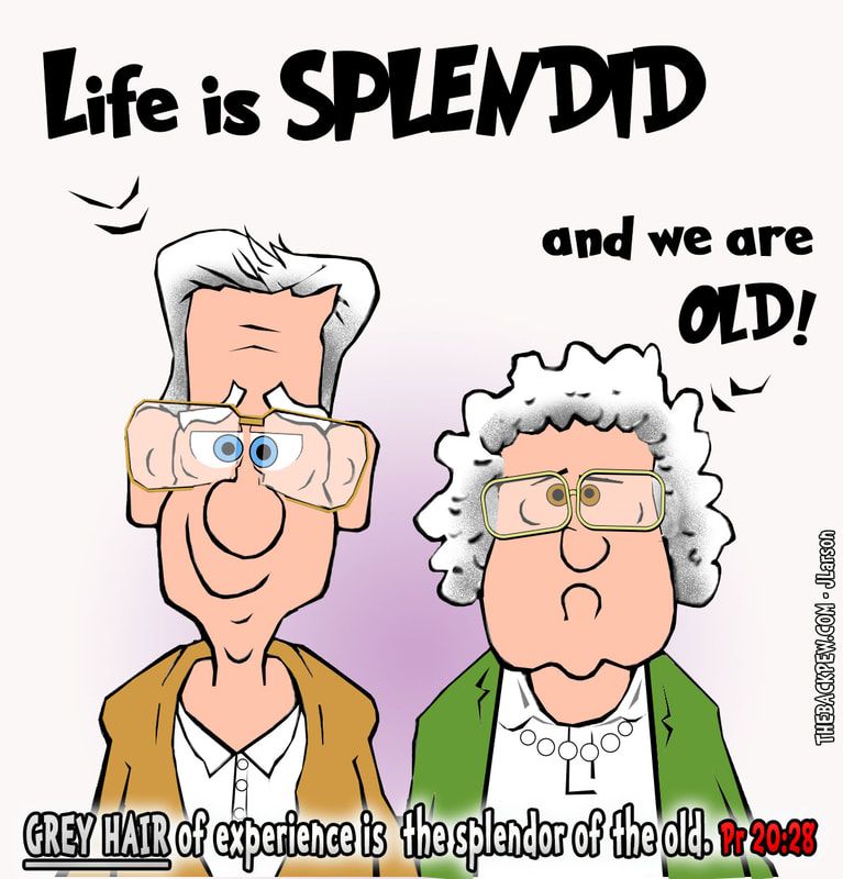 Senior Citizen stories, Senior jokes and cartoons. - Page 2 - AARP ...