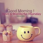 FB_IMG_1668695588065.jpg